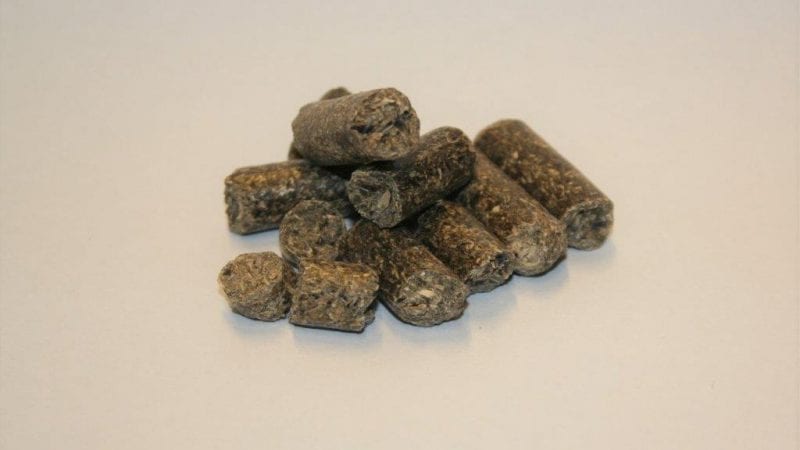 zonnebloemschroot-1-2